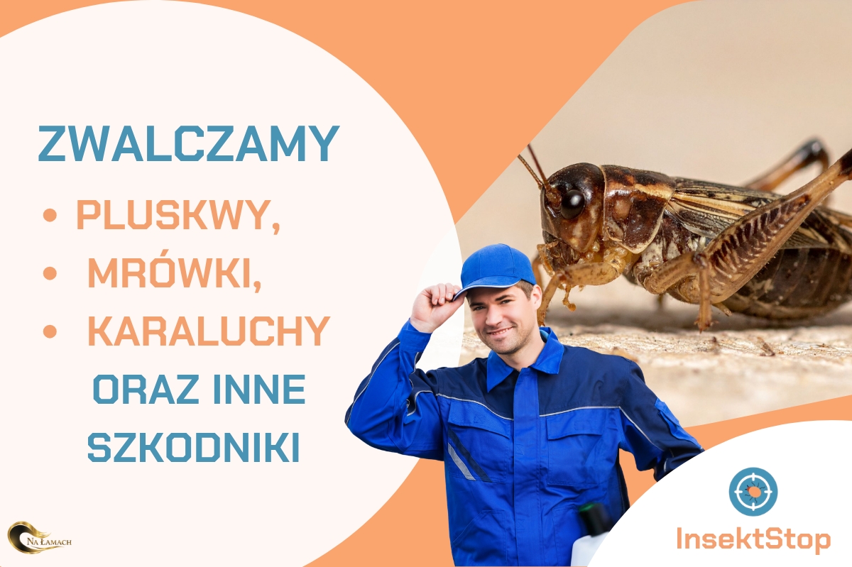 InsektStop - usługi